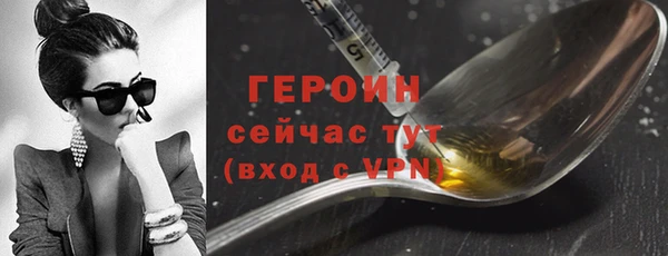 сатива Новозыбков