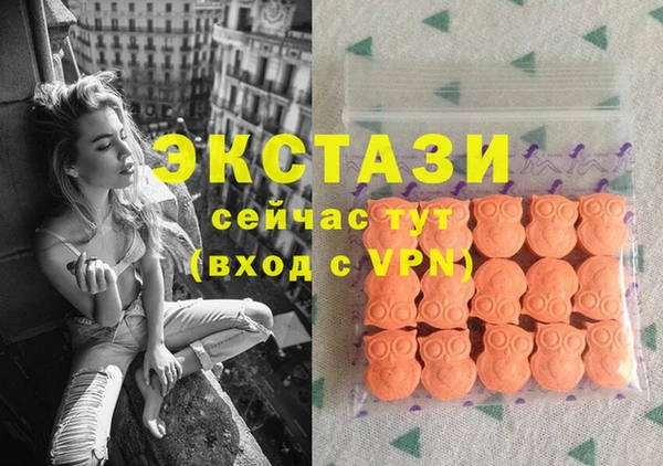 сатива Новозыбков