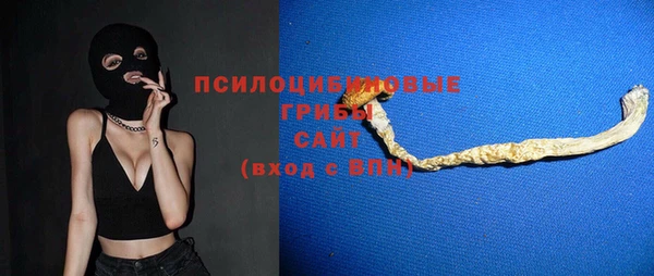 СК Новодвинск