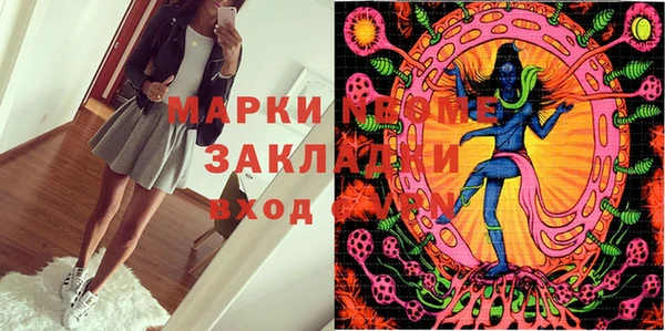 МДПВ Нея