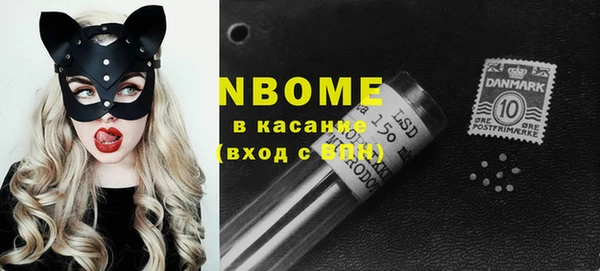 СК Новодвинск