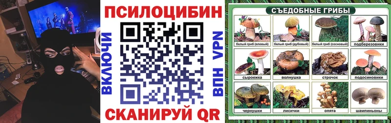 Галлюциногенные грибы Magic Shrooms  Купить где  Жигулёвск 